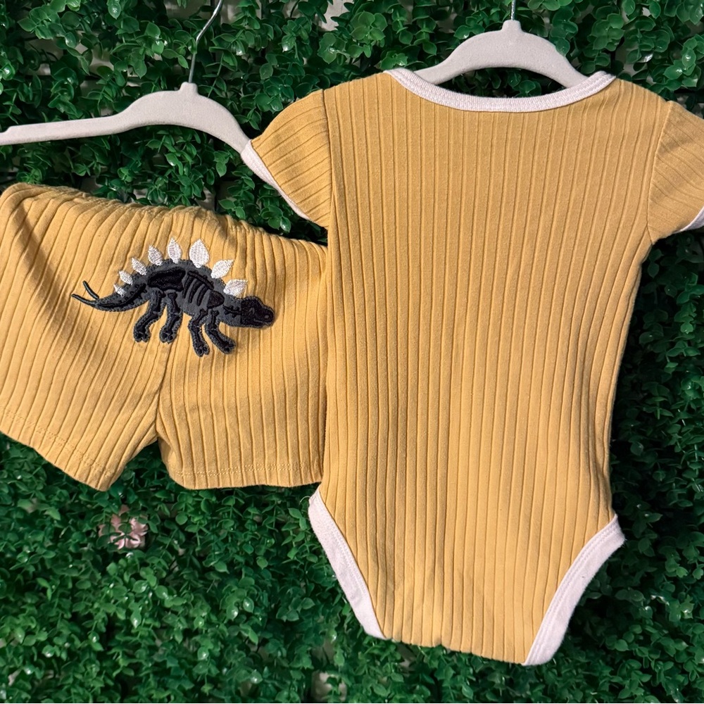 Dino Ribbed Baby 2 pc Set | 3M